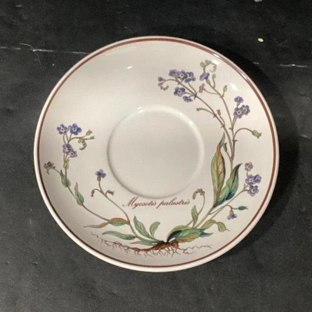 Villeroy & Boch Botanica Teacup and Saucers, Set of 2, Vintage Botanical Design